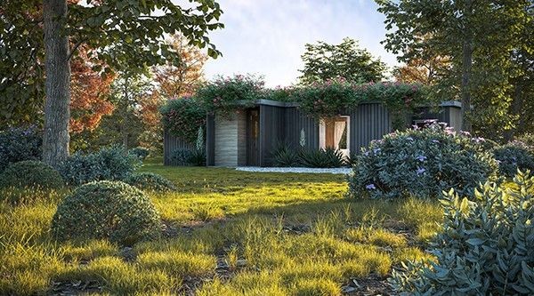 90 組可商用高解析植栽模型免費下載中！適用於 Blender、Cinema 4D 和 3ds Max