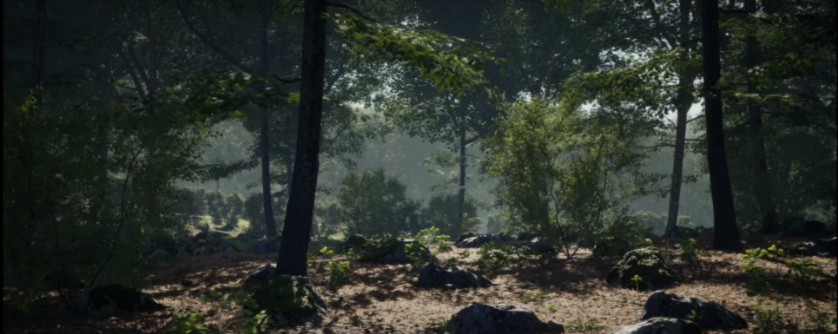 Epic Games 大手筆！提供 50 個樹木與岩石的免費 3D 模型，高質感的細節呈現讓你身歷其境！
