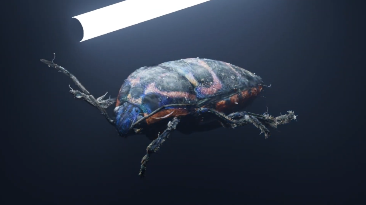 Arnold 7.5.2 版支援 3D Gaussian Splatting 技術，新增 Tone Zones 全新卡通材質節點